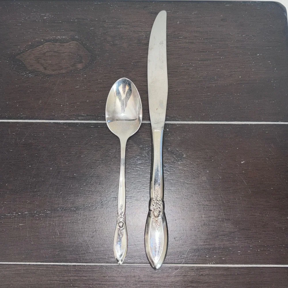 Oneida Community Stainless‎ | Morning Rose | Knife and Teaspoon | Set of 2